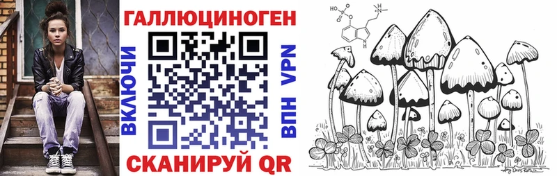 Галлюциногенные грибы Psilocybe  kraken вход  Старица 